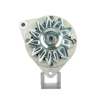 Alternateur BV PSH 555.013.070.311