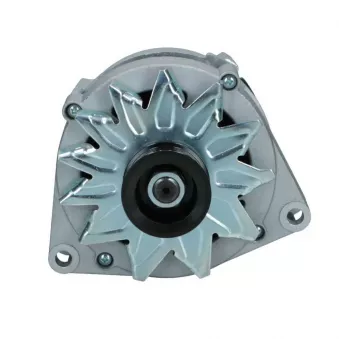 Alternateur BV PSH 555.014.080.019