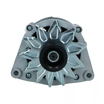 Alternateur BV PSH 555.018.100.018