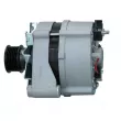 Alternateur BV PSH 555.018.100.018 - Visuel 2
