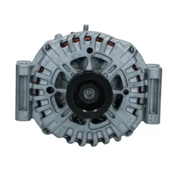 Alternateur BV PSH 555.411.250.500