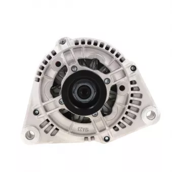 Alternateur BV PSH 555.509.090.018