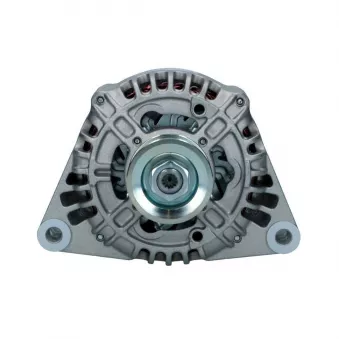 Alternateur BV PSH 555.511.090.310