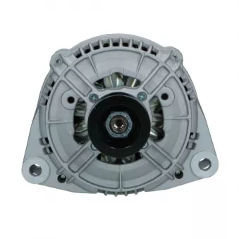 Alternateur BV PSH 555.511.115.018