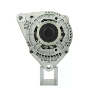 Alternateur BV PSH 555.513.090.010