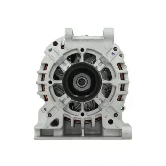 Alternateur BV PSH 555.529.090.500