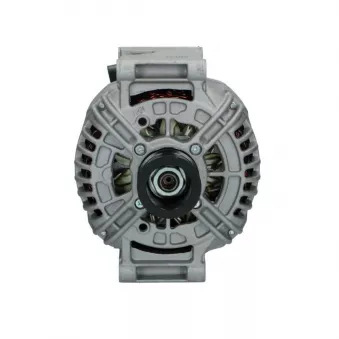 Alternateur BV PSH 555.557.150.018