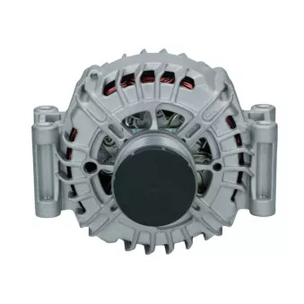 Alternateur BV PSH 555.559.150.008