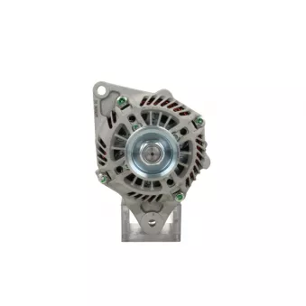 Alternateur BV PSH 555.564.090.138
