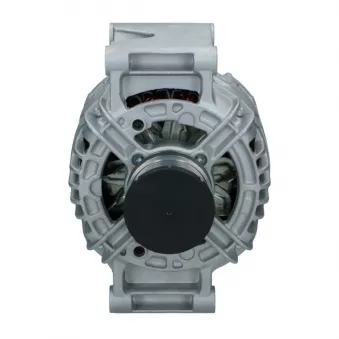 Alternateur BV PSH 555.569.090.019