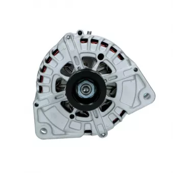 Alternateur BV PSH 555.596.220.008
