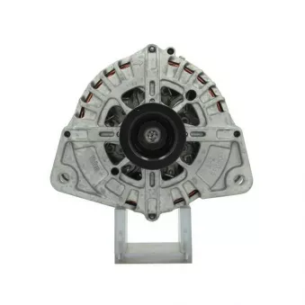 Alternateur BV PSH 555.596.220.500
