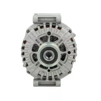 Alternateur BV PSH 555.952.250.500