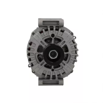 Alternateur BV PSH 555.956.250.004