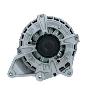 Alternateur BV PSH 555.960.190.018