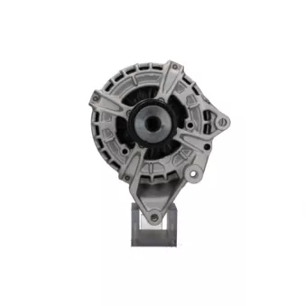 Alternateur BV PSH 555.960.190.215