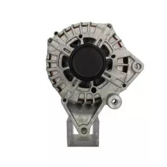 Alternateur BV PSH 555.964.250.500
