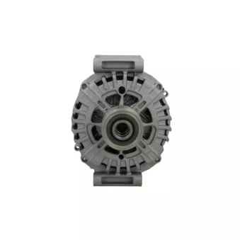 Alternateur BV PSH 555.971.250.004