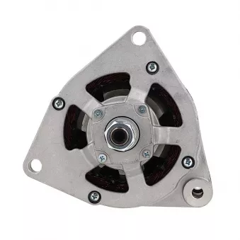 Alternateur BV PSH 556.001.027.018