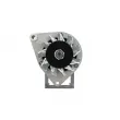 Alternateur BV PSH 556.058.018.010 - Visuel 1