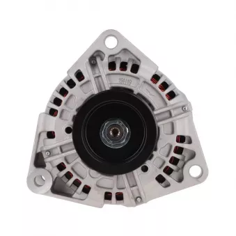 Alternateur BV PSH 556.501.100.018