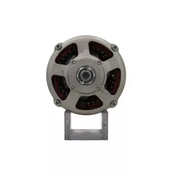 Alternateur BV PSH 565.008.080.311