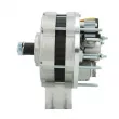 Alternateur BV PSH 565.010.050.311 - Visuel 2