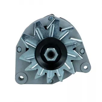 Alternateur BV PSH 575.001.048.008