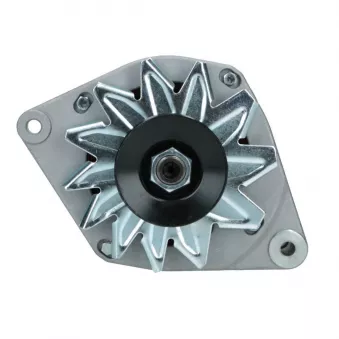 Alternateur BV PSH 575.008.065.008