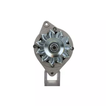 Alternateur BV PSH 575.008.065.311