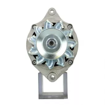 Alternateur BV PSH 575.011.070.311