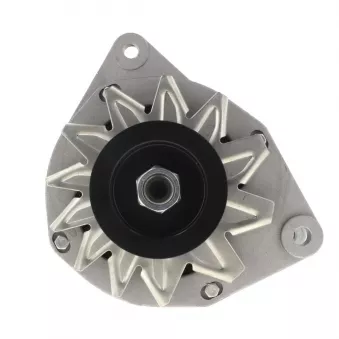 Alternateur BV PSH 575.015.055.008