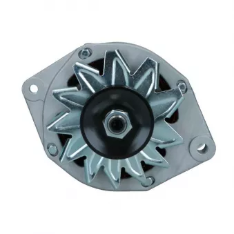Alternateur BV PSH 575.016.075.008