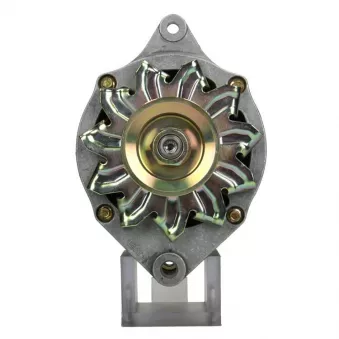Alternateur BV PSH 575.022.070.311