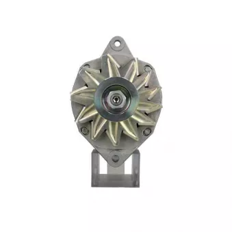 Alternateur BV PSH 575.022.070.500