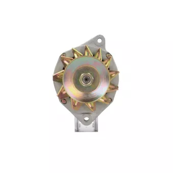 Alternateur BV PSH 575.022.070.502