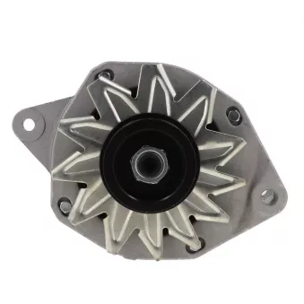 Alternateur BV PSH 575.024.070.008