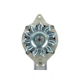 Alternateur BV PSH 575.024.070.311