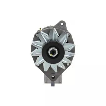 Alternateur BV PSH 575.025.070.505