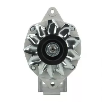 Alternateur BV PSH 575.030.070.000