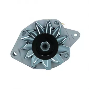 Alternateur BV PSH 575.030.070.008