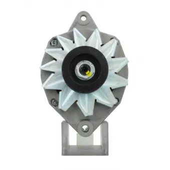 Alternateur BV PSH 575.030.070.505