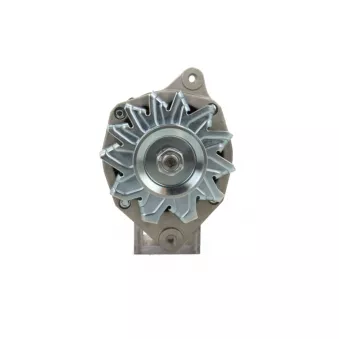 Alternateur BV PSH 575.031.070.311
