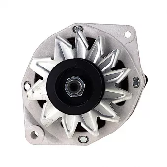 Alternateur BV PSH 575.032.090.008