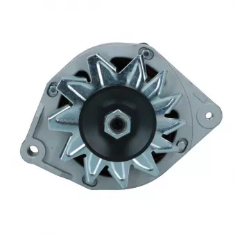 Alternateur BV PSH 575.033.090.008