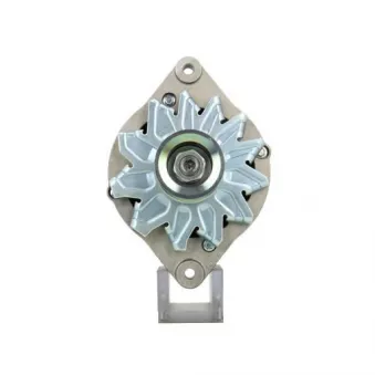 Alternateur BV PSH 575.043.075.311