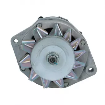 Alternateur BV PSH 575.317.105.500