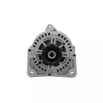 Alternateur BV PSH 575.514.110.008
