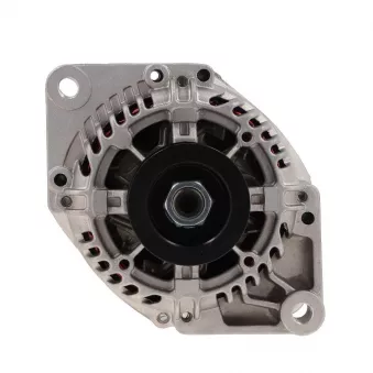 Alternateur BV PSH 575.530.075.008