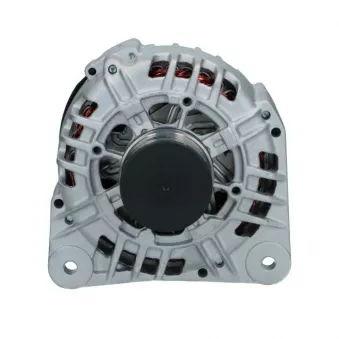 Alternateur BV PSH 575.537.120.008